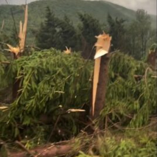 Furtuna puternică a provocat haos în Maramureș