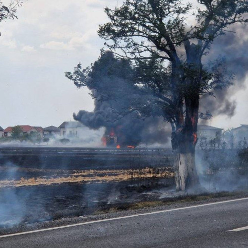 Incendiu de amploare lângă București: Pompierii în alertă maximă
