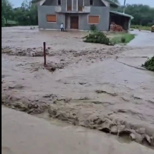 Ploi torențiale și grindină în Suceava: străzi și curți inundate, grădini distruse