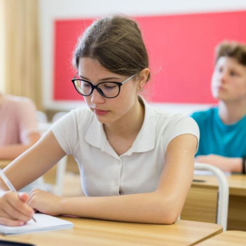 A început a doua probă a examenului de Bacalaureat 2024