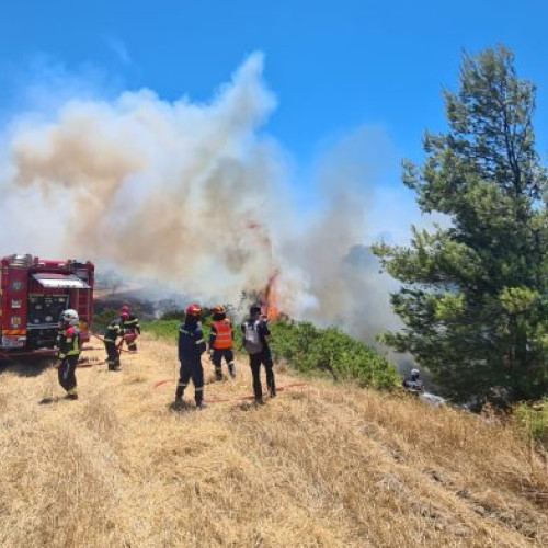 Grecia își consolidează echipele de pompieri cu ajutor internațional