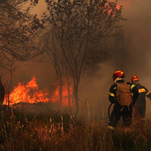 Român arestat în Grecia pentru provocarea unui incendiu