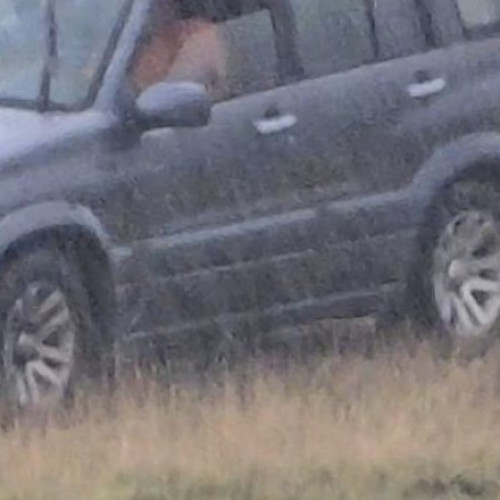 Bărbat din Cluj cercetat penal pentru rănirea intenționată a unui câine