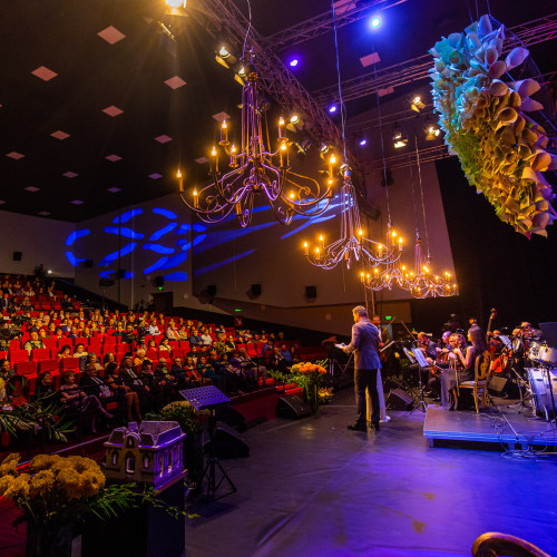 Preselecții finalizate pentru Festivalul "Crizantema de Aur" 2024