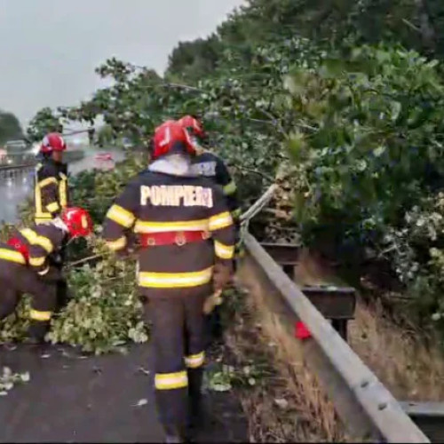 Ploaia torențială din Argeș a provocat distrugeri semnificative