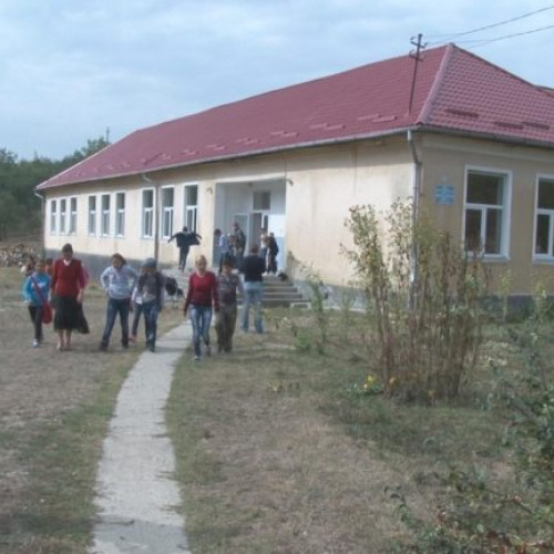 World Vision România subliniază discrepanțele între copiii din mediul rural și cei de la orașe