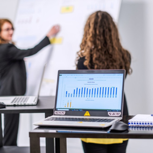 Electroalfa angajează personal pentru unitățile de producție din Botoșani