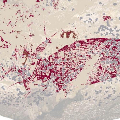 Descoperirea celei mai vechi picturi rupestre figurative în Sulawesi