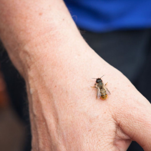 Accident la Piatra-Neamț: Un bărbat de 76 de ani a rămas încarcerat după ce a intrat cu mașina într-un cap de pod