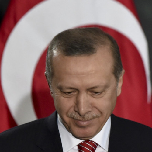 Rusia respinge propunerea de mediere a lui Erdogan în conflictul din Ucraina