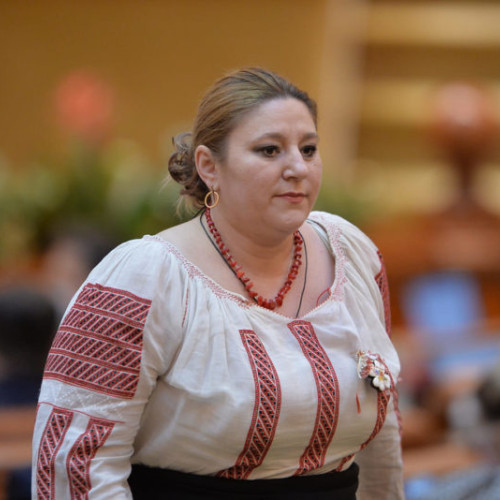 Senatoarea Diana Șoșoacă propune datele pentru alegerile prezidențiale și parlamentare