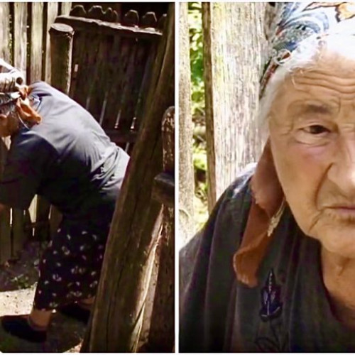 Proprietara câinelui care a mușcat un bărbat în Argeș oferă primele declarații