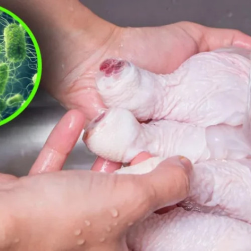 ANSVSA consideră că ANPC și-a depășit atribuțiile în prelevarea probelor de carne de pasăre