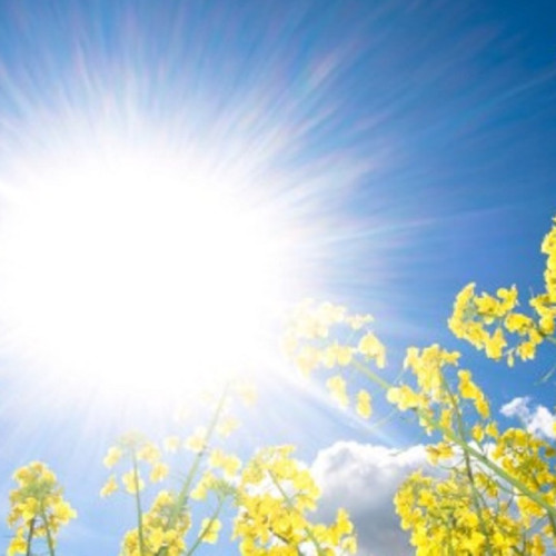 Meteorologii anunță prognoza meteo până pe 5 august