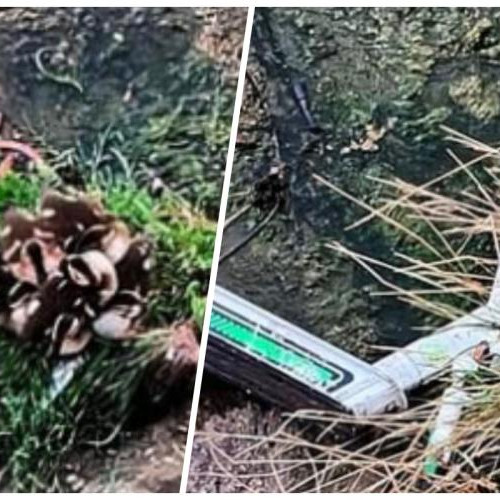 Nesimțirea la cote maxime în Cluj