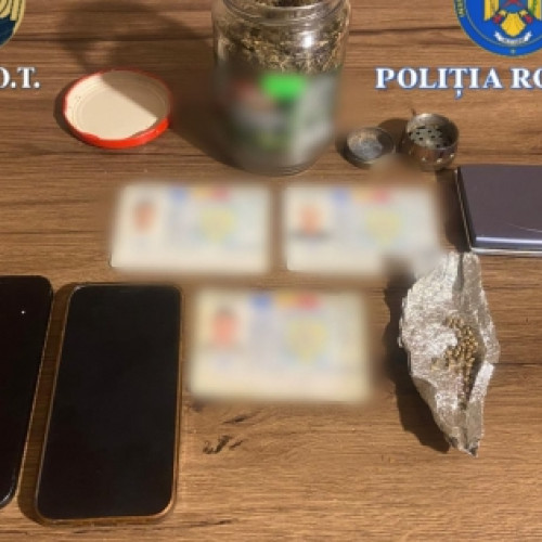 Doi tineri, reținuți pentru trafic de droguri în Timiș