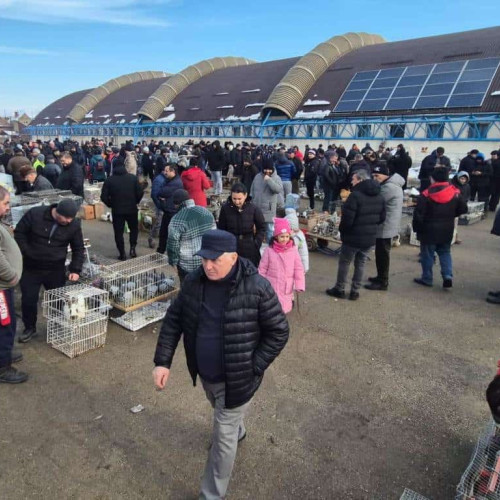 Târg de păsări și animale mici organizat la Sebeș