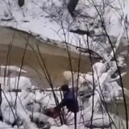 Vreme ploioasă și mohorâtă în Alba, prognoza din 26 ianuarie - 1 februarie