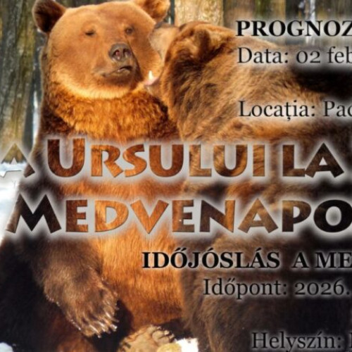 Ziua Ursului sărbătorită la Grădina Zoologică din Târgu Mureș