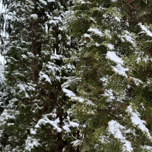 Alertă meteorologică: Cod Galben și Portocaliu pentru precipitații însemnate