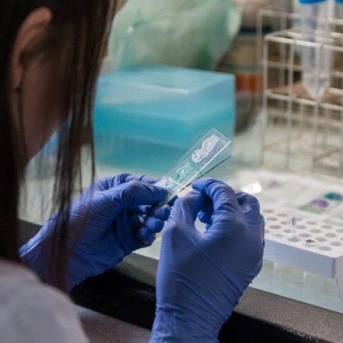 O descoperire revoluționară a cercetătorilor de la UBC în lupta împotriva cancerului