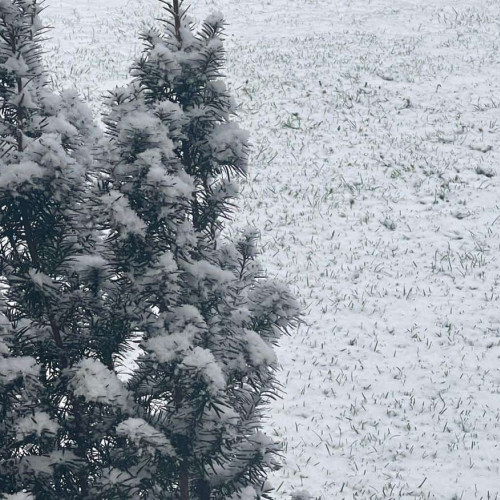 Vremea extremă în România până pe 23 februarie 2026: ninsori și variații de temperatură