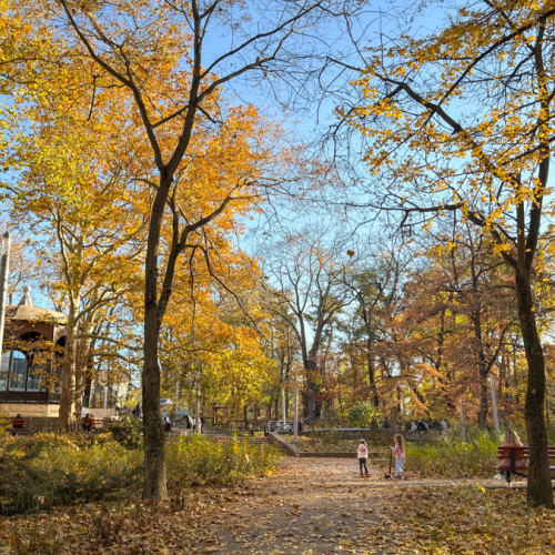 Consilierii locali votează proiectul de amenajare a Parcului Sub Arini
