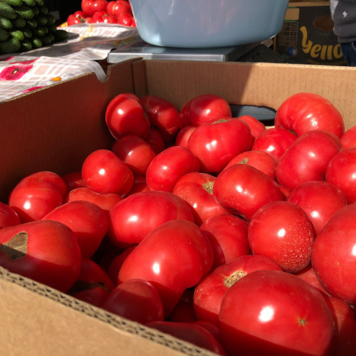 Primăria Dumbrăveni a aprobat construcția unor sere de către un investitor polonez