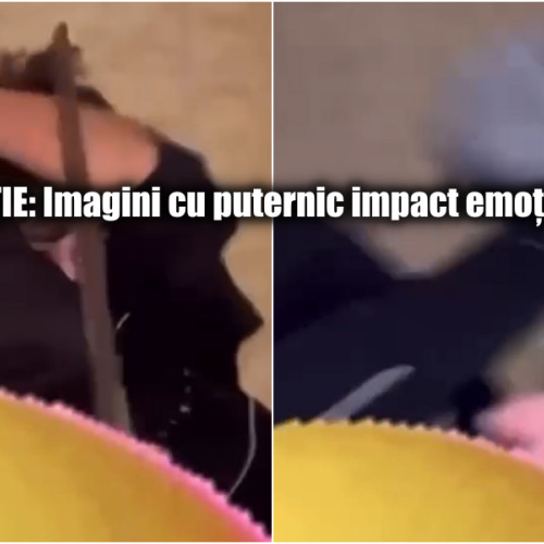 Brăila: Violenta juvenilă atinge noi culmi în unitățile școlare