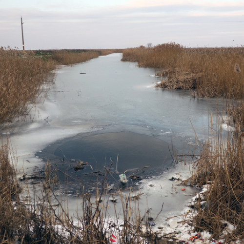 Excesul de umiditate afectează terenurile agricole din Brăila