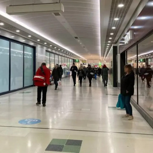 Profesor emerit analizează legătura dintre producție și consum în economia românească