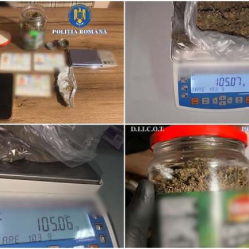 Importante descoperiri în ancheta legată de o rețea de droguri în Cenei