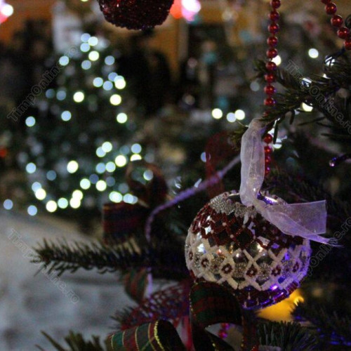 Radu Moldovan despre tradițiile de Crăciun și solidaritatea românilor