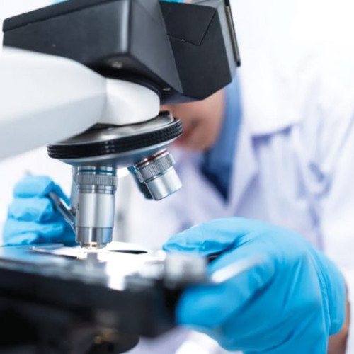 Pielea artificială inteligentă schimbă perspectiva materialelor adaptative