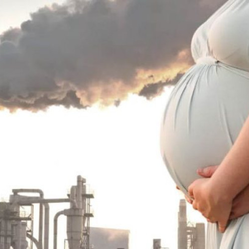 Fumul incendiilor de vegetație poate crește riscul de autism la copii