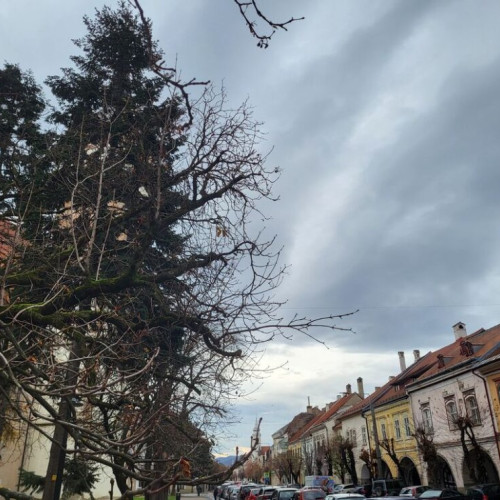 Tarifele de despăgubire pentru infrastructură verde în Bistrița, discutate în ședința de azi