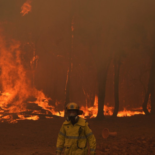 Pompierii din Victoria se confruntă cu incendii majore în mijlocul caniculei record