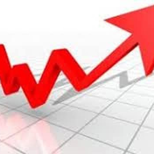 Rata șomajului în Tulcea a crescut la sfârșitul anului 2025