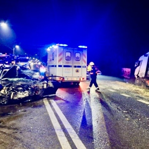 Accident tragic pe DN 7: un tânăr a murit și patru persoane sunt rănite