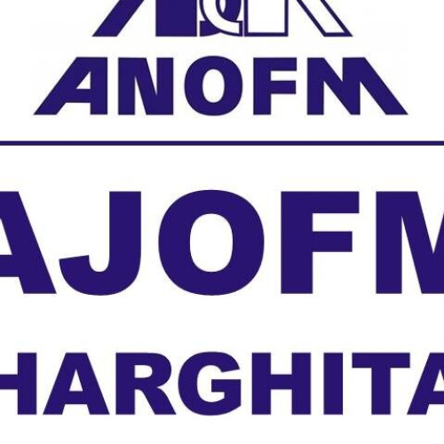 Firma din Miercurea-Ciuc intenționează să disponibilizeze 144 de angajați