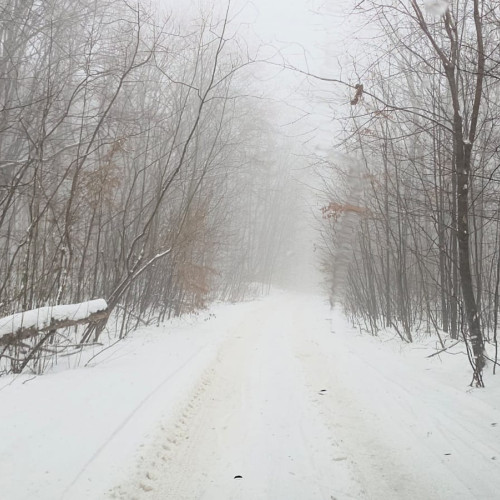 Ger și ninsori în toată țara: meteorologii anunță vreme severă