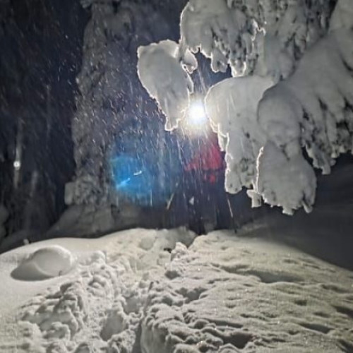 Doi tineri ucraineni blocați în Munții Maramureșului cer ajutor