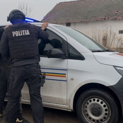 Poliția a identificat un bărbat suspectat de furtul a 35 de miei