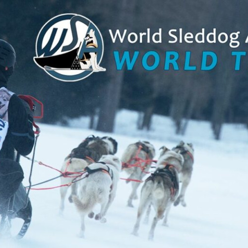 Anularea Campionatului Mondial de Sleddog 2026 din cauza vremii