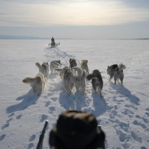 Trump vorbește despre Groenlanda, dar localnicii nu recunosc conceptul de proprietate