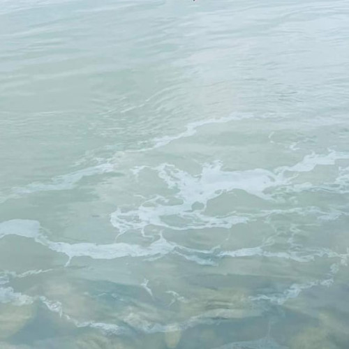 Alerte de mediu pe Dunăre din cauza poluării cu produse petroliere