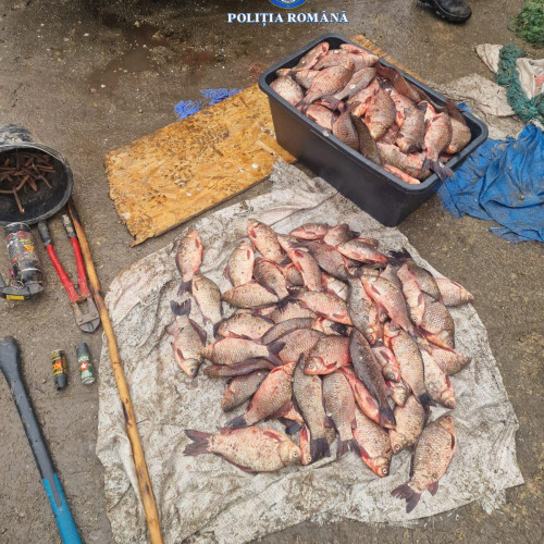 În Teleorman, un bărbat a fost reținut pentru infracțiuni rutiere și pescuit ilegal