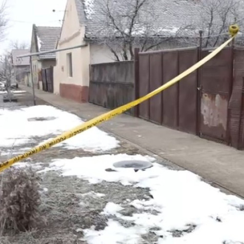 Frica mamei unui băiat implicat în crima din Cenei, Timiș