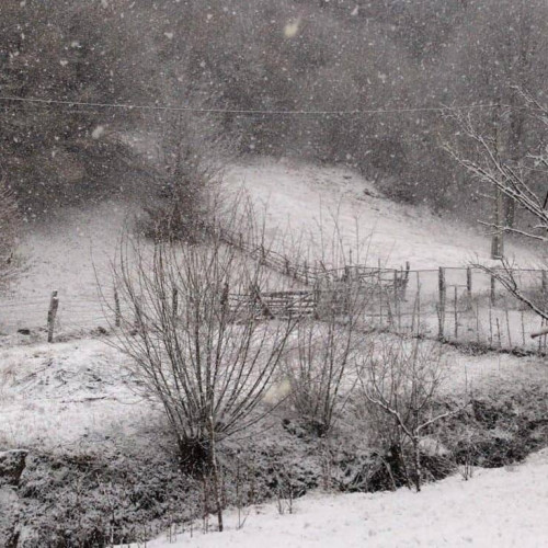 Vremea în Alba între 2 și 8 februarie: Încălzire graduală în județ