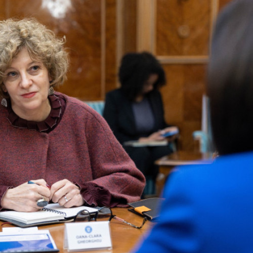 Oana Gheorghiu: Românii nu își vând țara, ci o pierd prin companiile neperformante